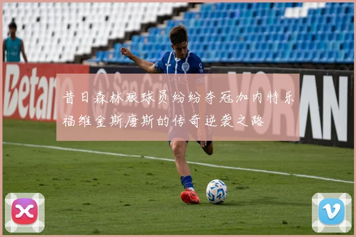 昔日森林狼球员纷纷夺冠加内特乐福维金斯唐斯的传奇逆袭之路