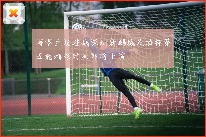 海港主场迎战深圳新鹏城足协杯第五轮精彩对决即将上演