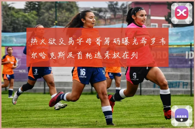 热火欲交易字母哥筹码曝光希罗韦尔哈克斯及首轮选秀权在列
